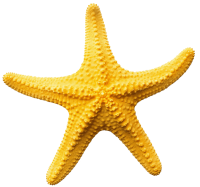 Star Fish Yellow