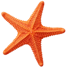star