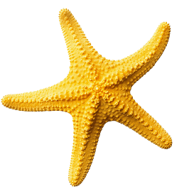 Star Right