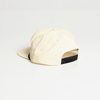 Buddy Ocean Fish Club