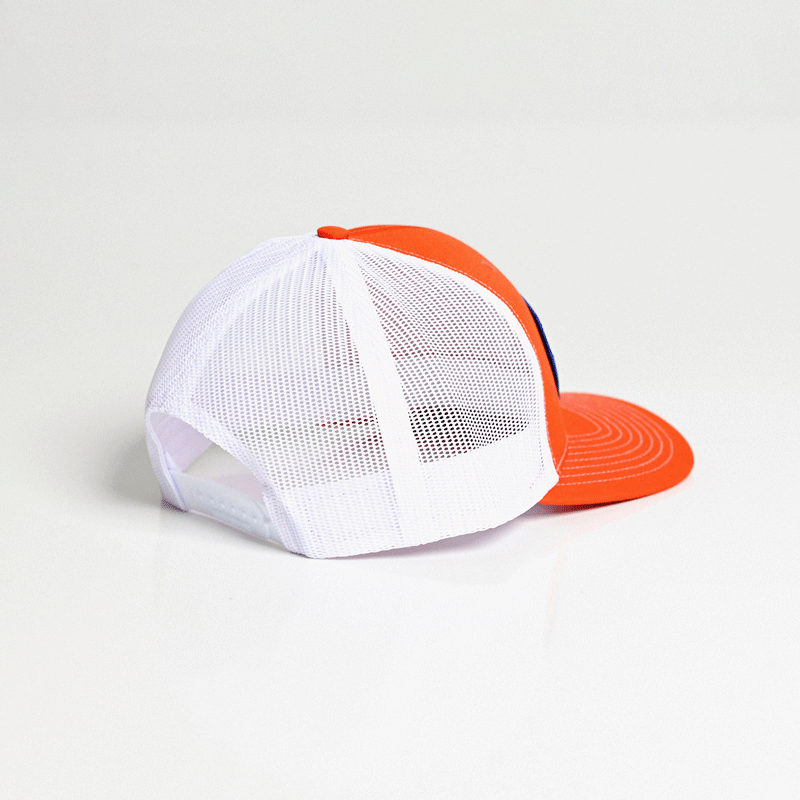 High on Life - Blue Trim